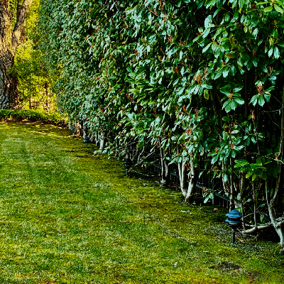 Landscaping
